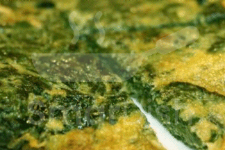 Peynirli Yeşil Omlet
