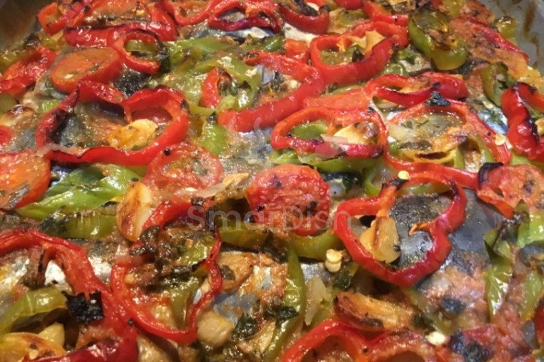 Sebzeli Palamut Buğulama